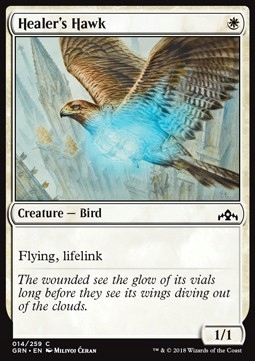 Healer's Hawk Guilds of Ravnica
