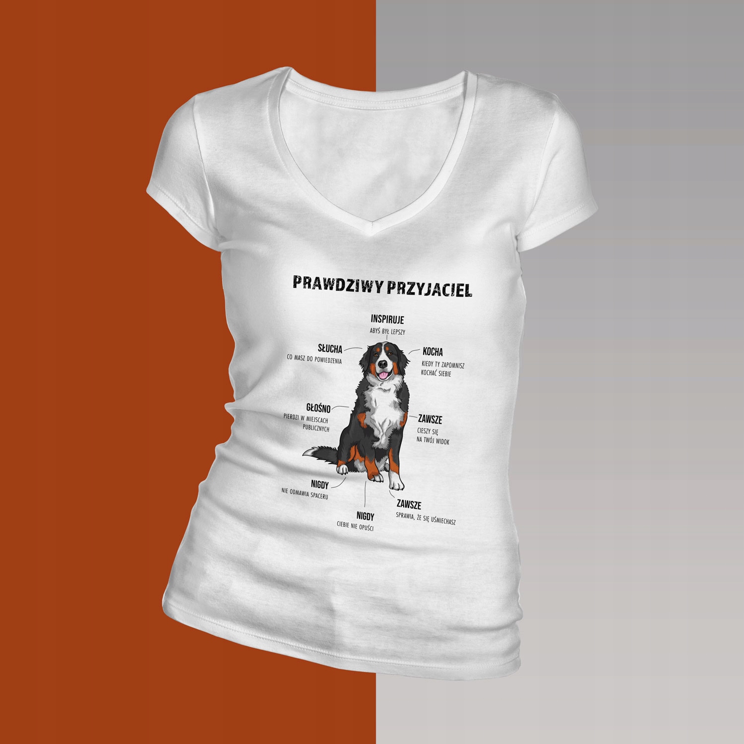

Koszulka damska berneńczyk prawdziwy przyjaciel