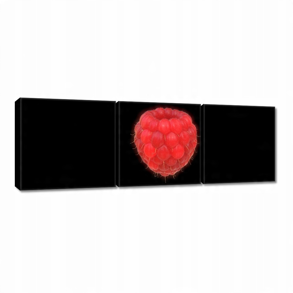 

Obrazy 60x20 Malinka