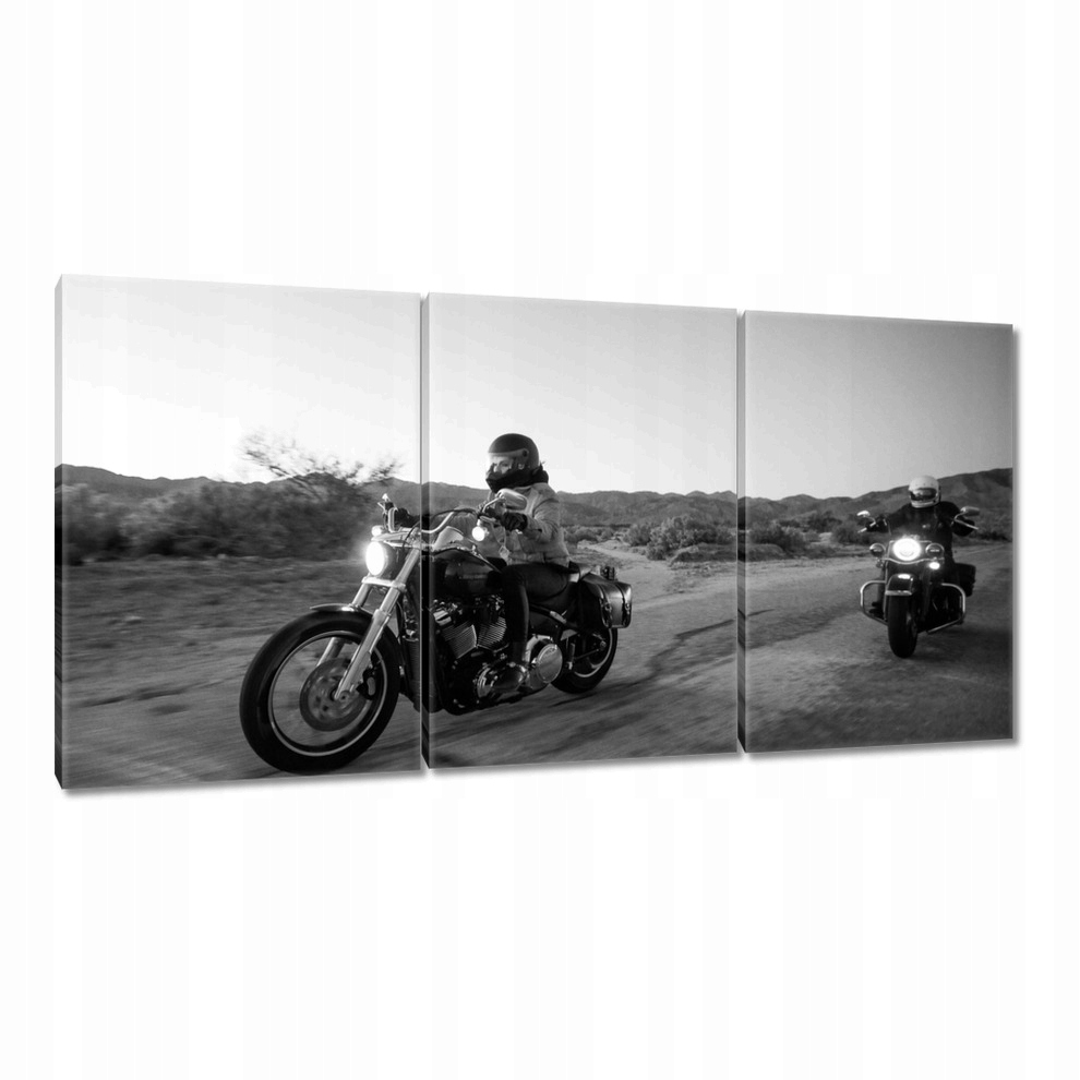 

Obrazy 120x60 Harley Davidson Motocykl