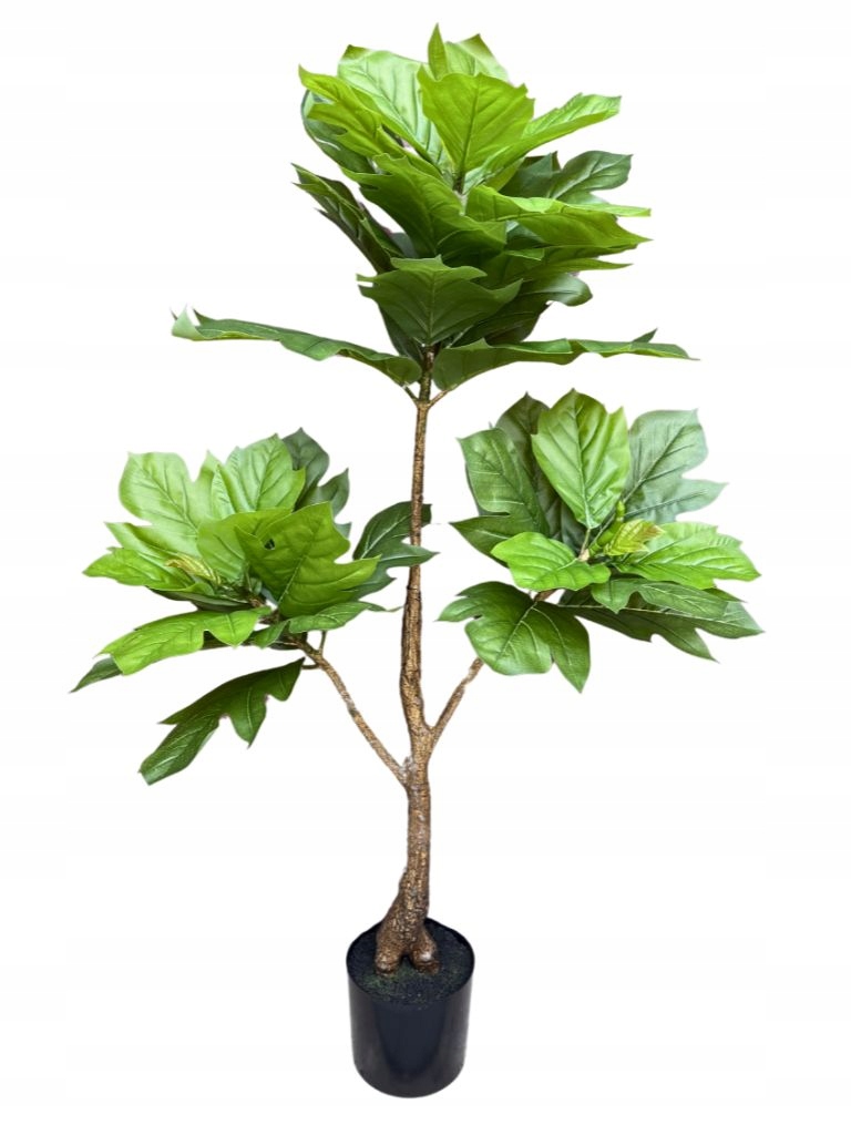Fikus lyrata dubolistá, umelý strom 150 cm
