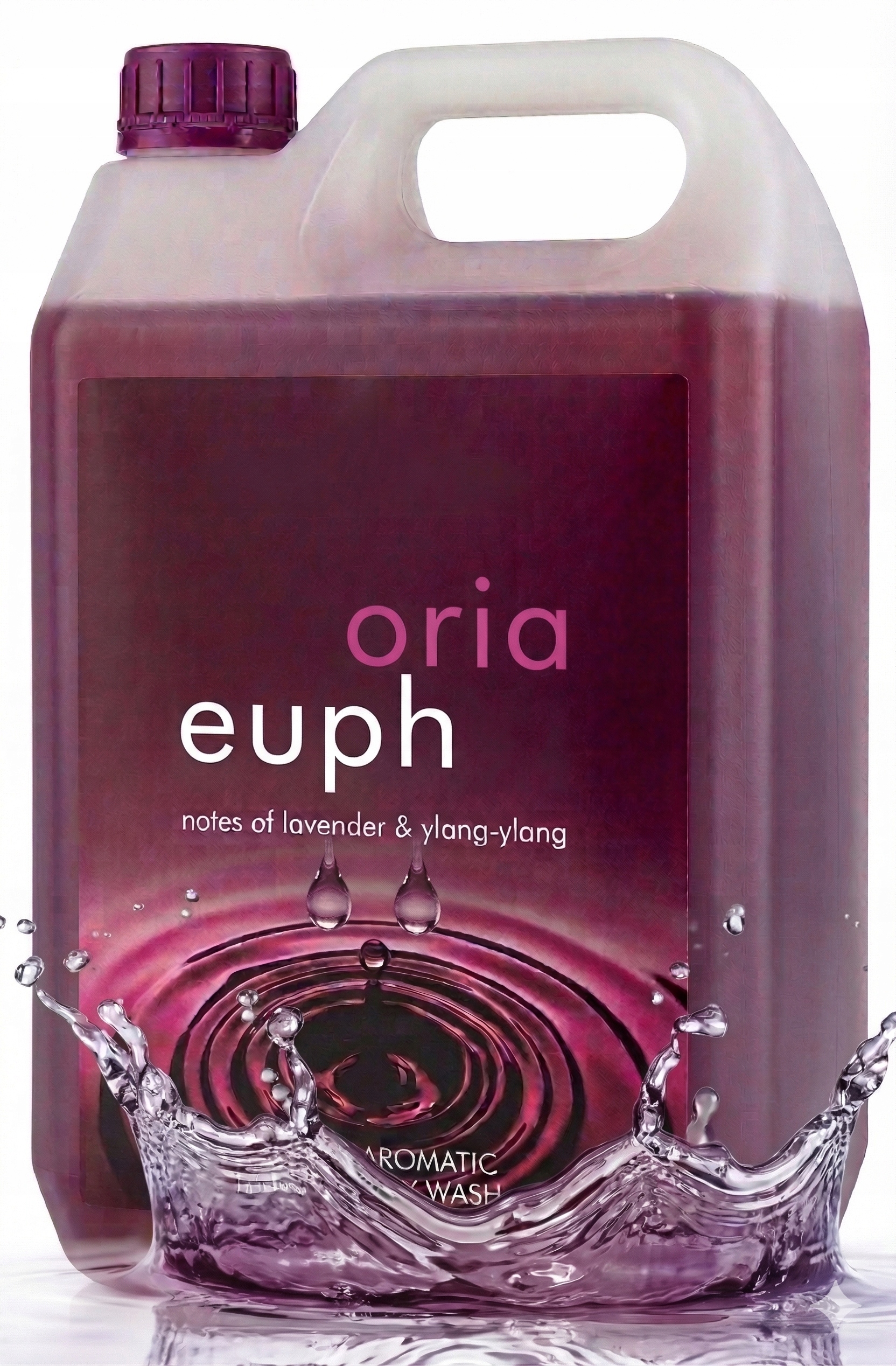 Tekuté mýdlo s vůní parfému Euphoria 5L Den