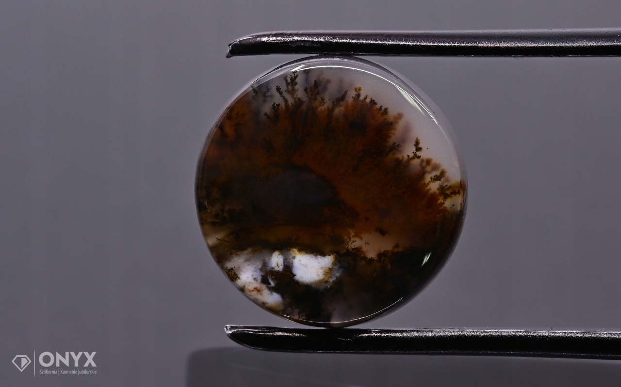 Dendritový achát z Kazachstánu konvexní mělký kruh