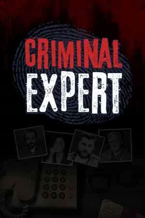 Criminal Expert (pc) klucz Steam
