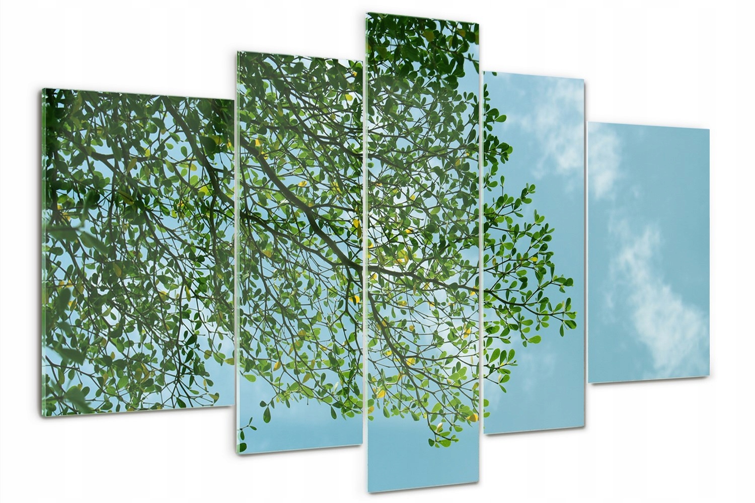 Akrylový triptych na zeď Listy na obloze