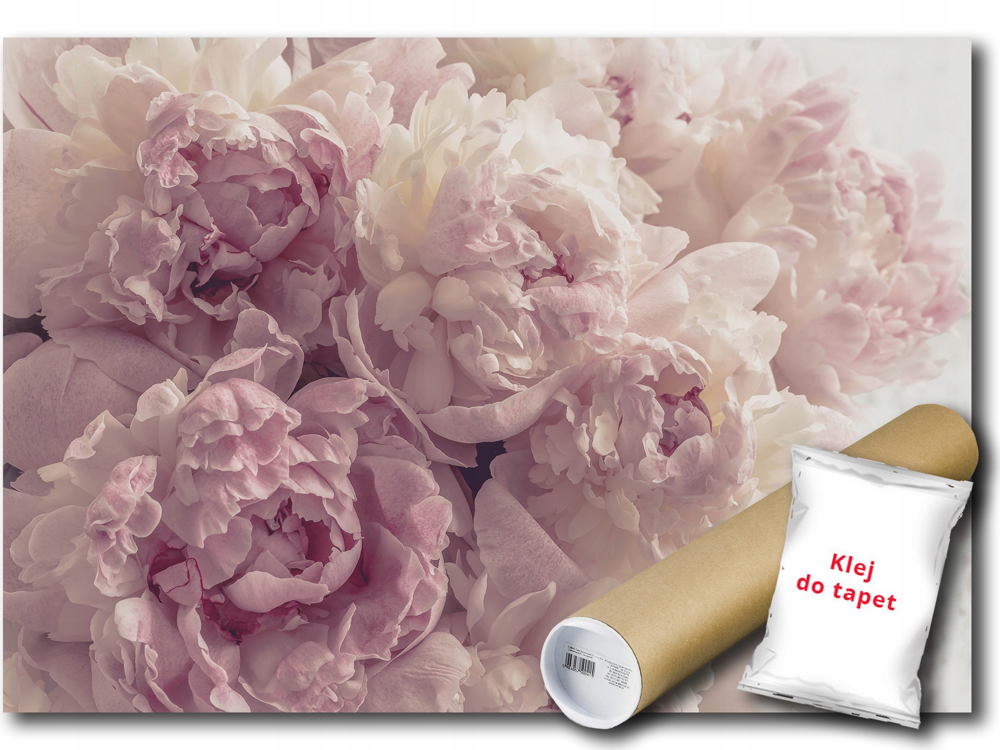 Fototapeta Flizelina Pivonie Peonie Kvet 416x254