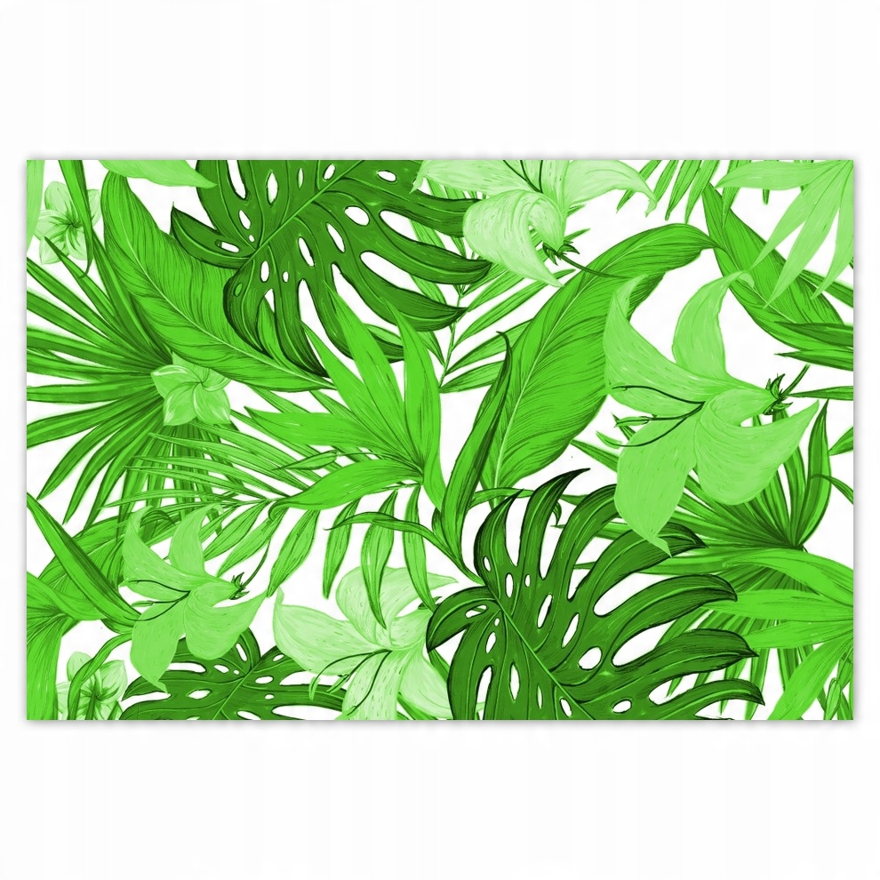 

Naklejki 185x125 Monstera