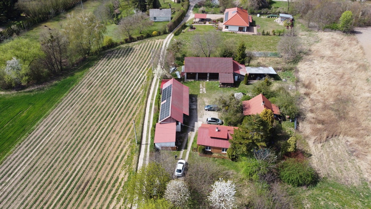 Dom, Skowieszynek, Kazimierz Dolny, Puławski, 100 m²
