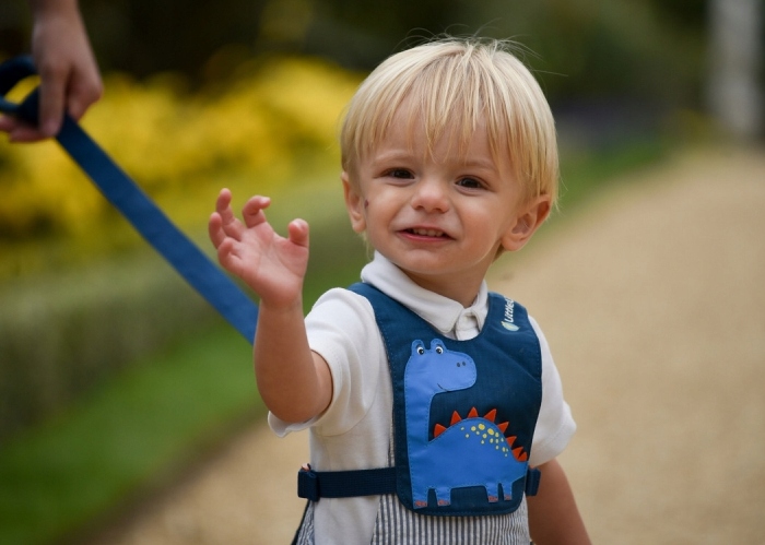 Szelki Bezpieczeństwa LittleLife Dla Dzieci Dinozaur Niebieskie 12m+ Kod producenta L13530