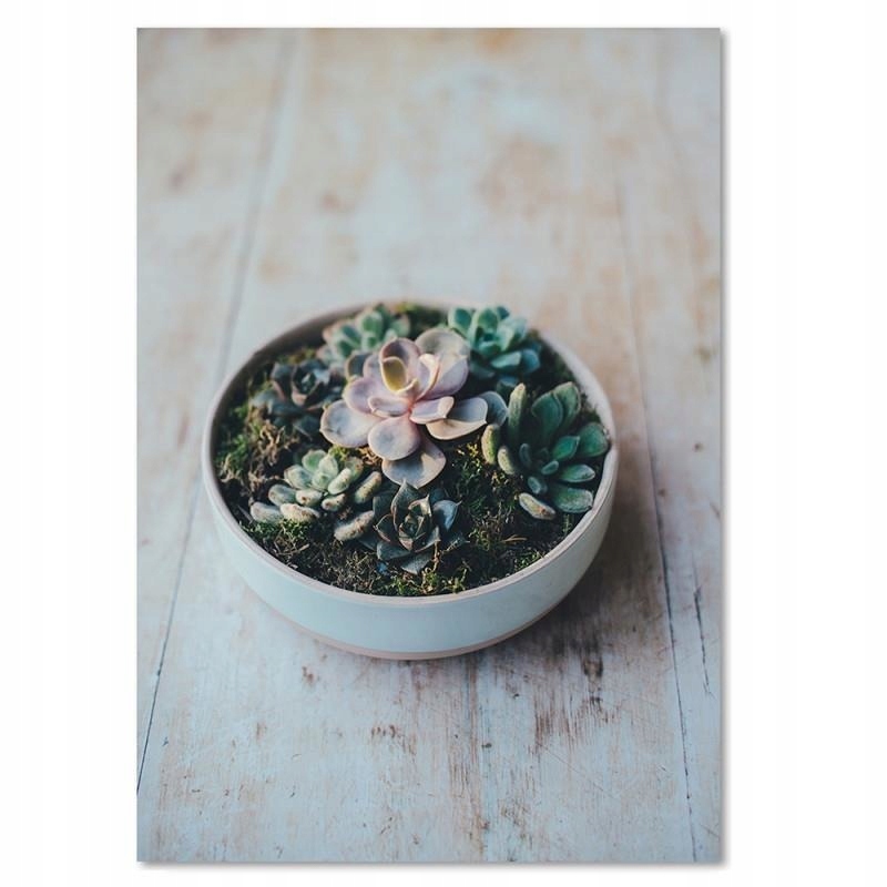 

Obraz Na Ścianę Rośliny Naczynie Deco Panel 70x100