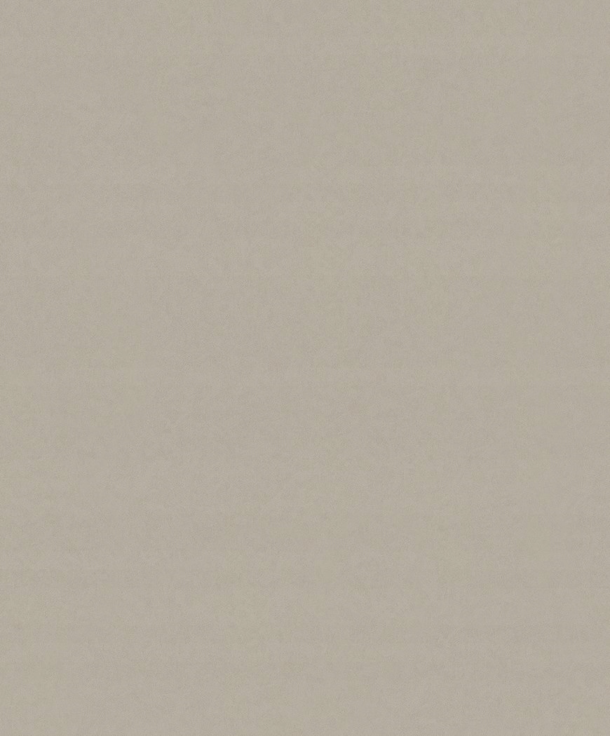 Jasnohnedá tapeta s jemnou štruktúrou 10,05 m x 106,00 cm tapety