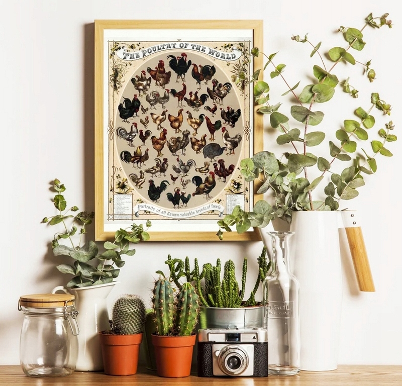 ZIEMIA OKRZEMKOWA DIATOMIT 20KG POLSKI Marka bez marki