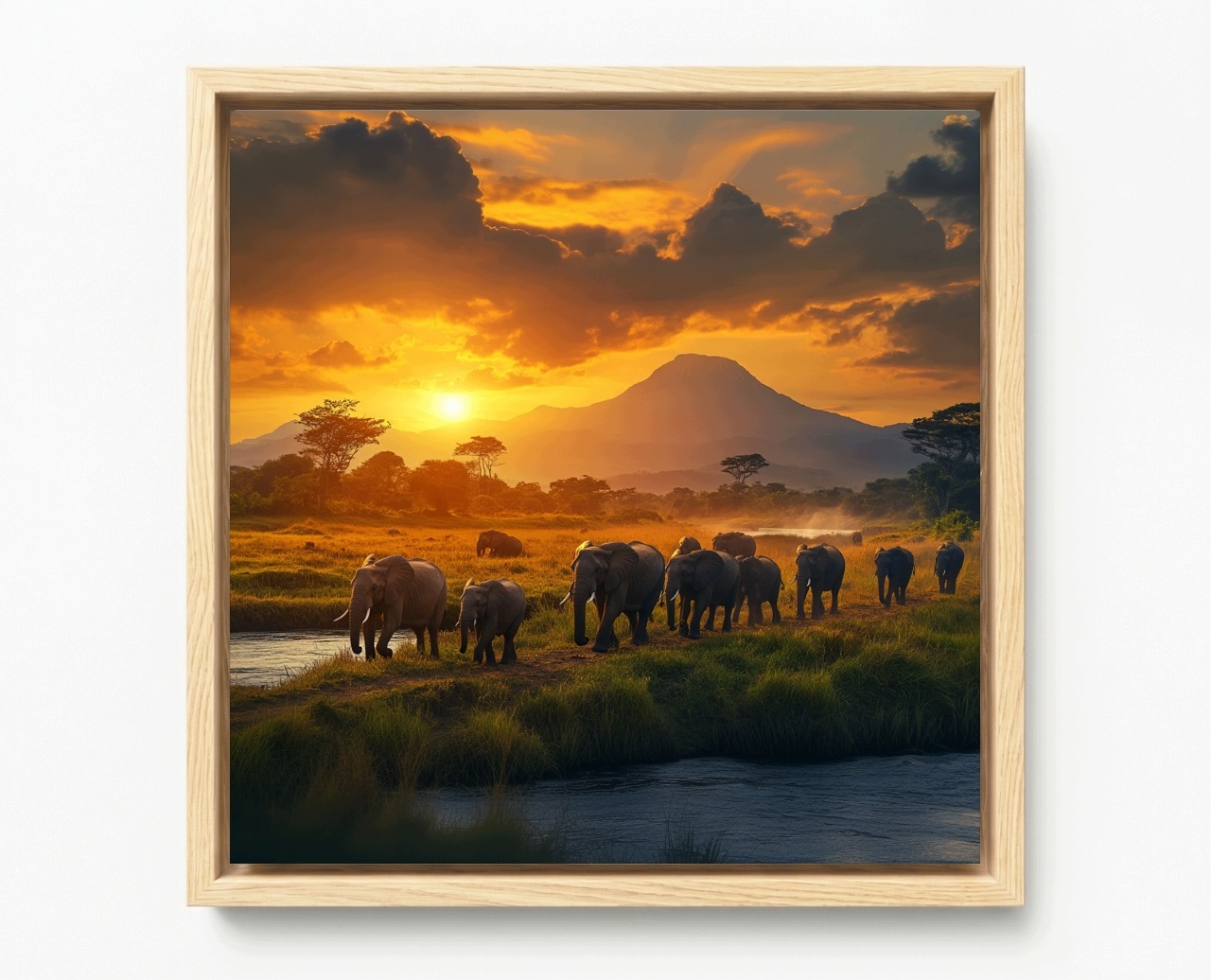 Obraz Rám American Box Zvieratá Fauna Afrika Slon Západ 60x60