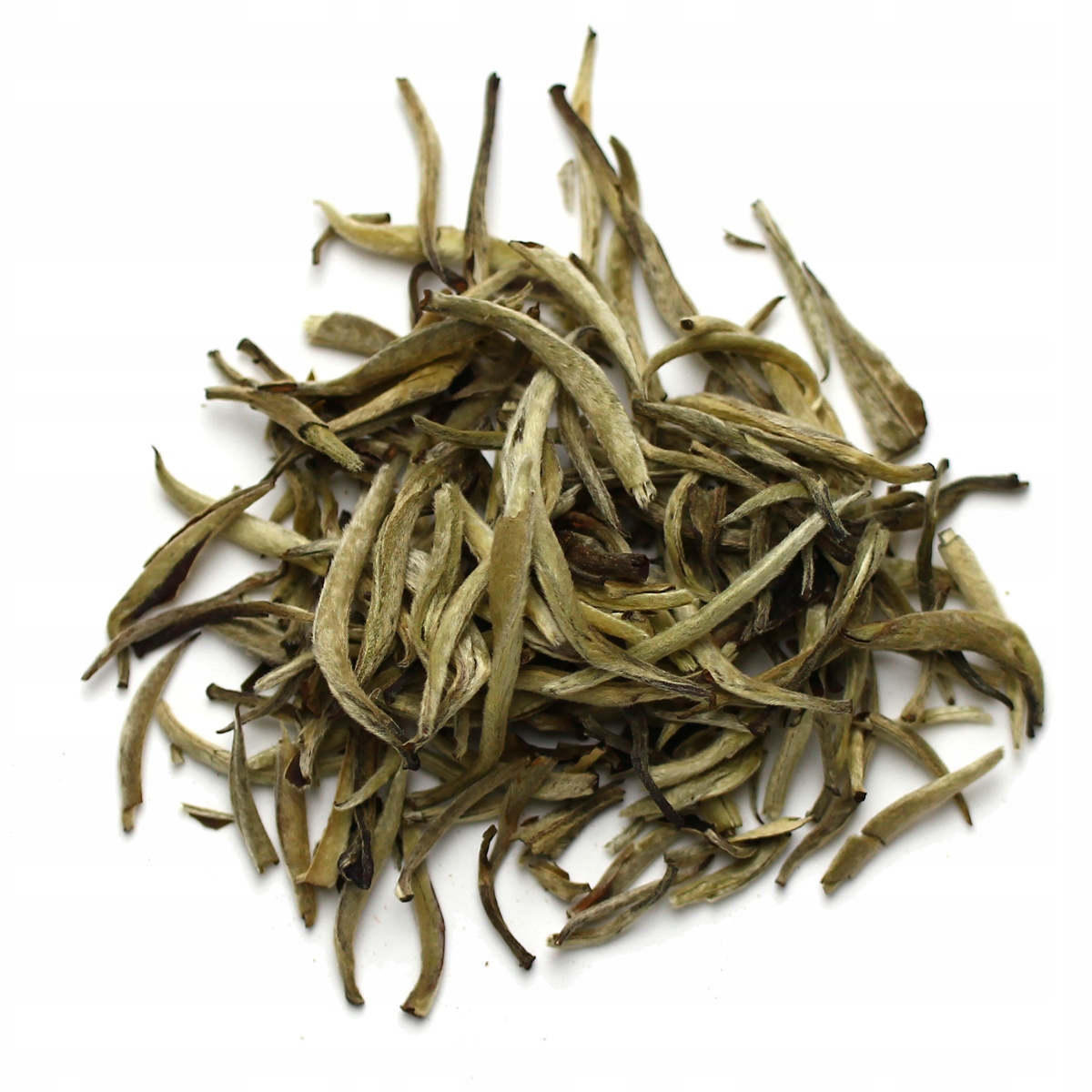 Bílý sypaný čaj Silver Needle 250g Vzorek Kávy Bonus