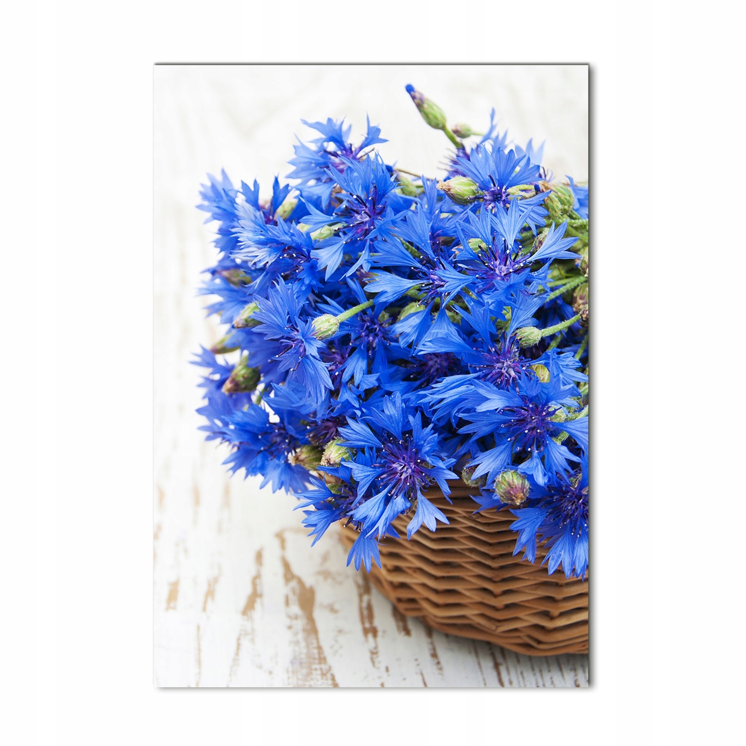 

Foto obraz akryl do salonu Chabry w koszu 70x100cm