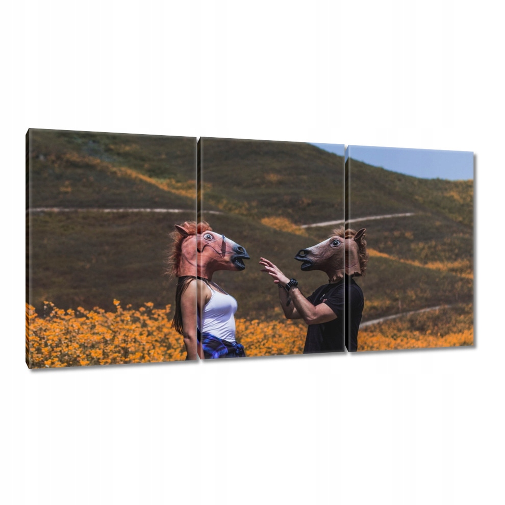 

Obrazy 120x60 Koń Konie Jeździectwo