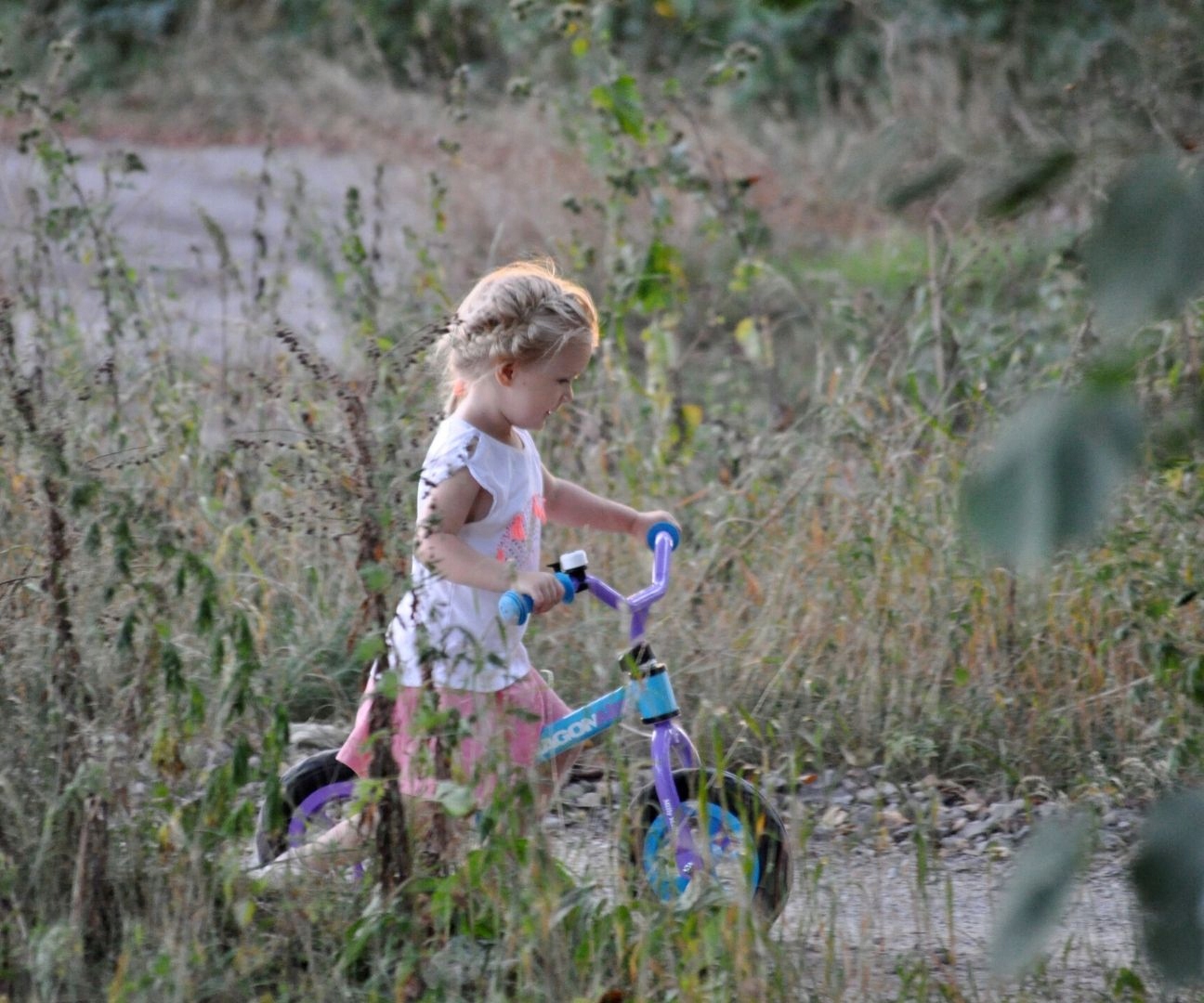 Rowerek Regulowany Biegowy Dragon Air Milly Mally Rozmiar koła w calach 10