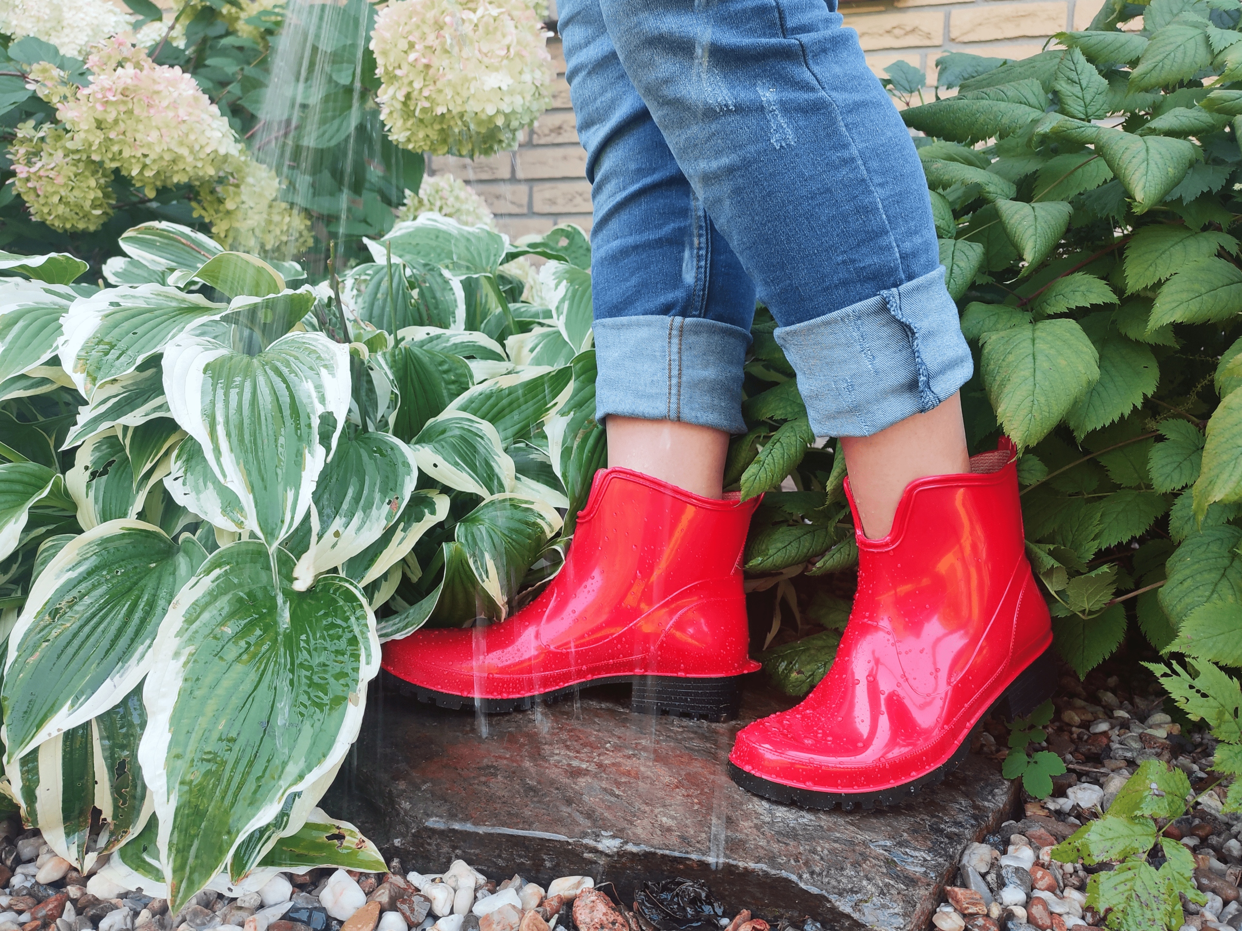 KALOSZE BOTKI DAMSKIE GUMOWCE KRÓTKIE ELKE 930/37 Kolor czerwony