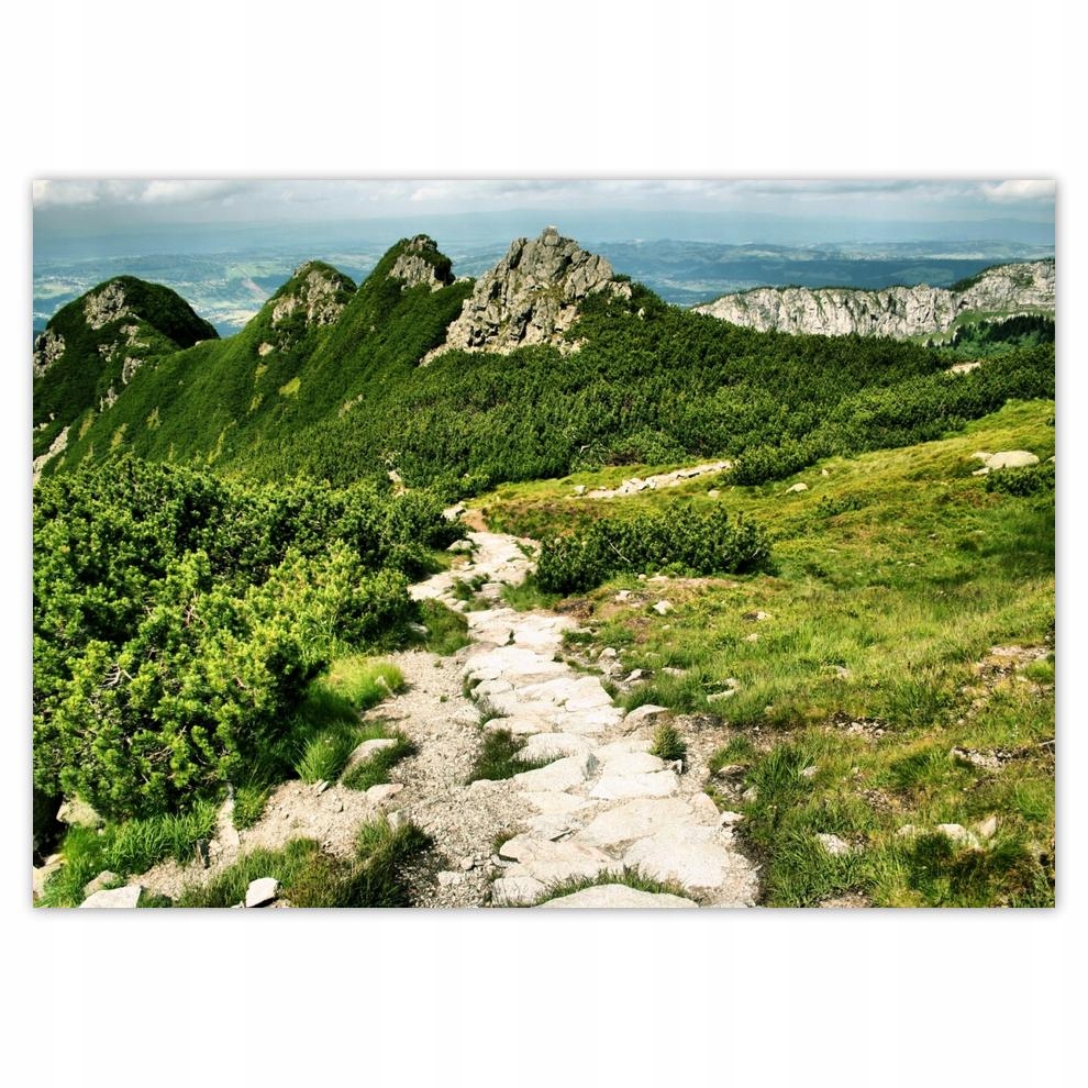 

Plakaty 70x50 Tatry Polskie góry Widok