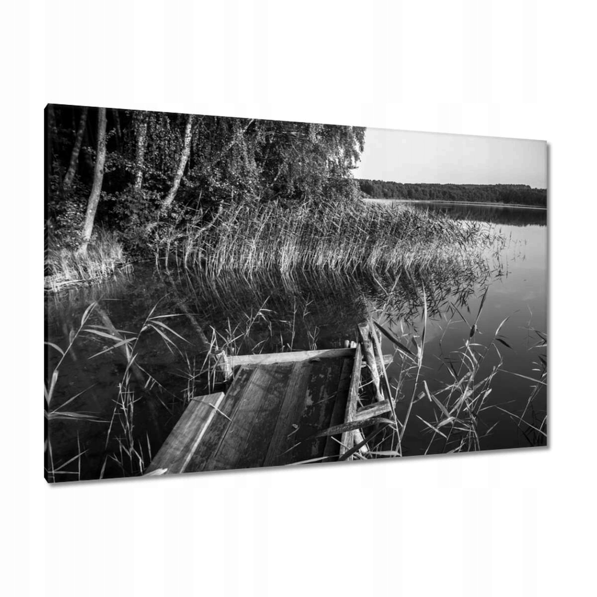Obrazy 120x80 Fotka z rybaření