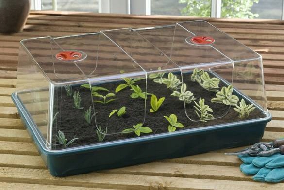 

Propagator Kopułkowy XL 58x40,5x22,5cm Garland