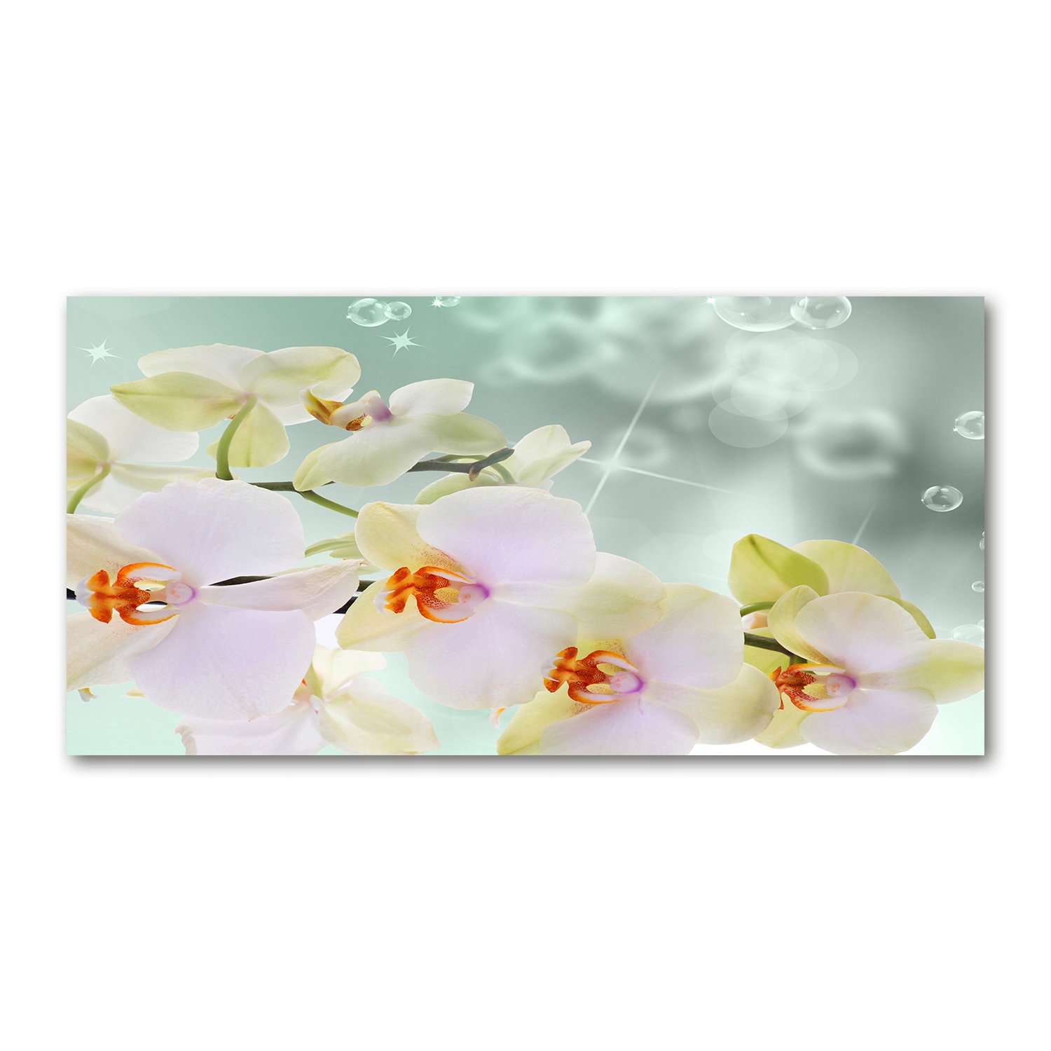 

Foto obraz szkło hartowane Biała orchidea 140x70