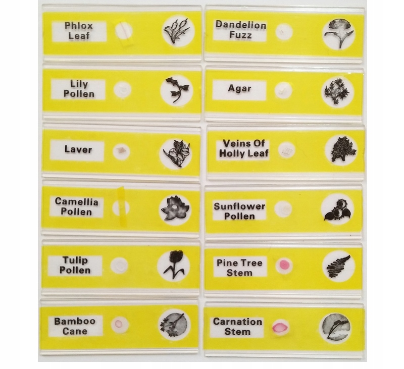 PREPARATY do MIKROSKOPÓW dla dzieci ZESTAW 48 szt. Wiek dziecka 6 lat +