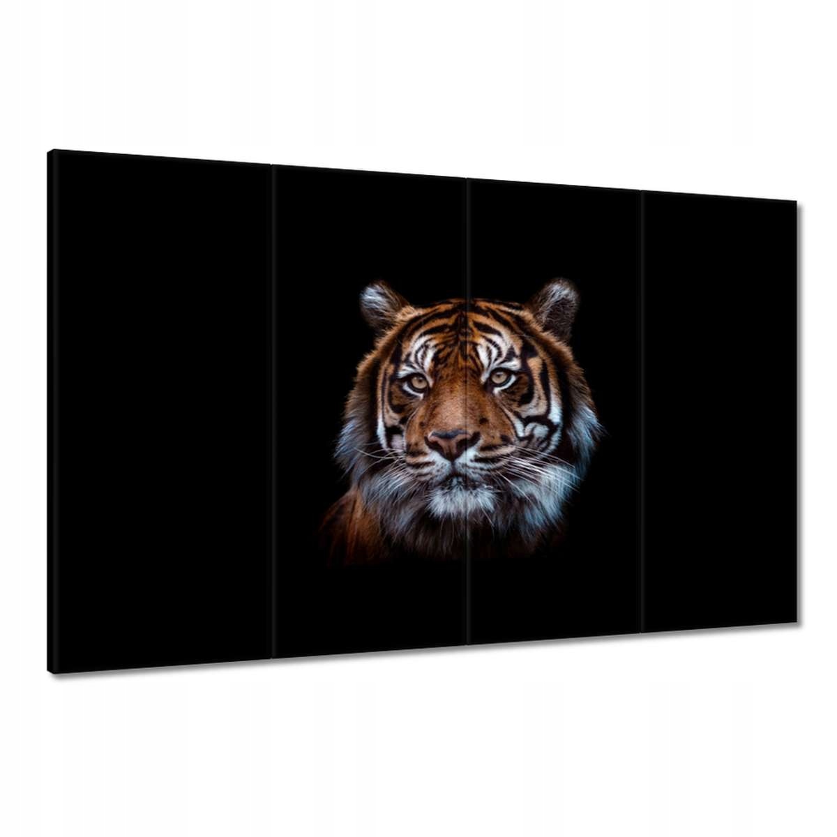 Obrazy 120x80 Tygr sumaterský kočka
