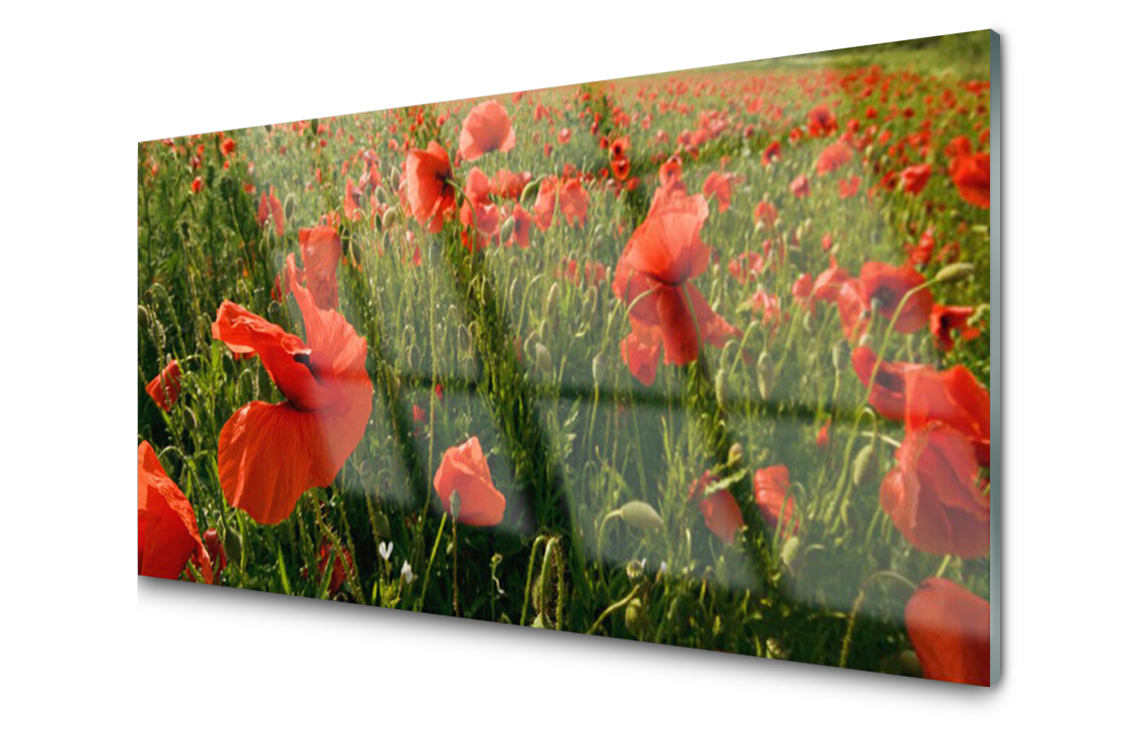 

Panel szklany dekor Maki Roślina 140x70 + Klej