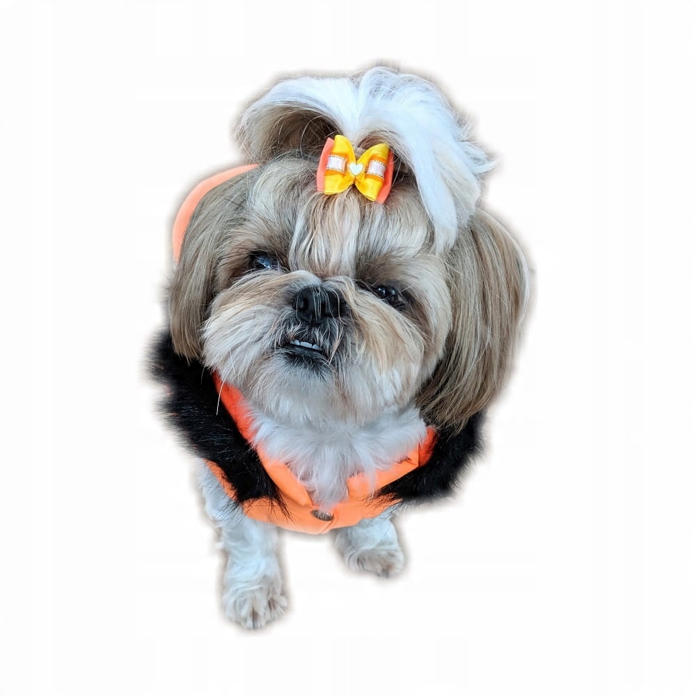 

Ręcznie szyta kurtka e pomarańczowa Xxxs Shih Tzu