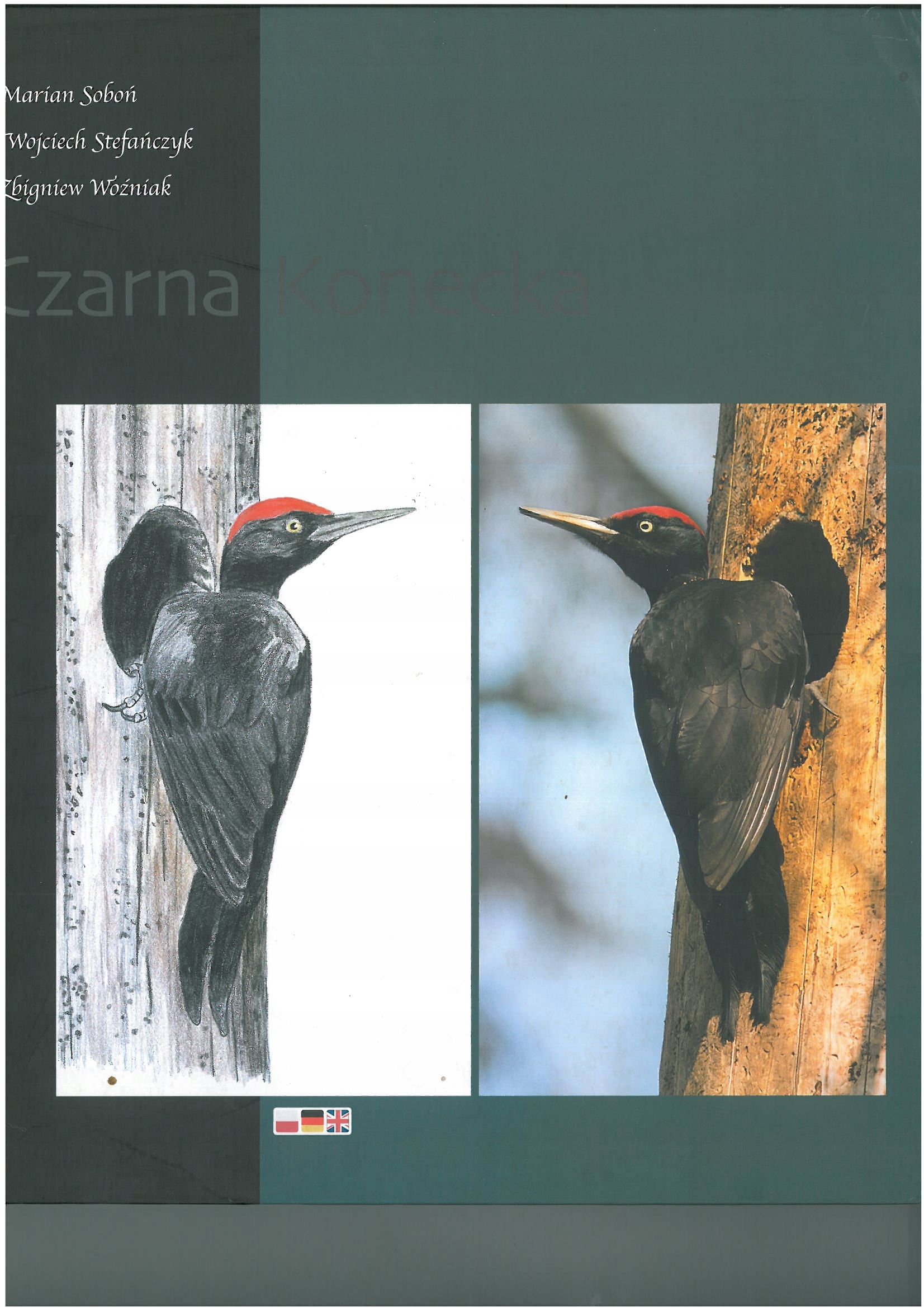Czarna Konecka album