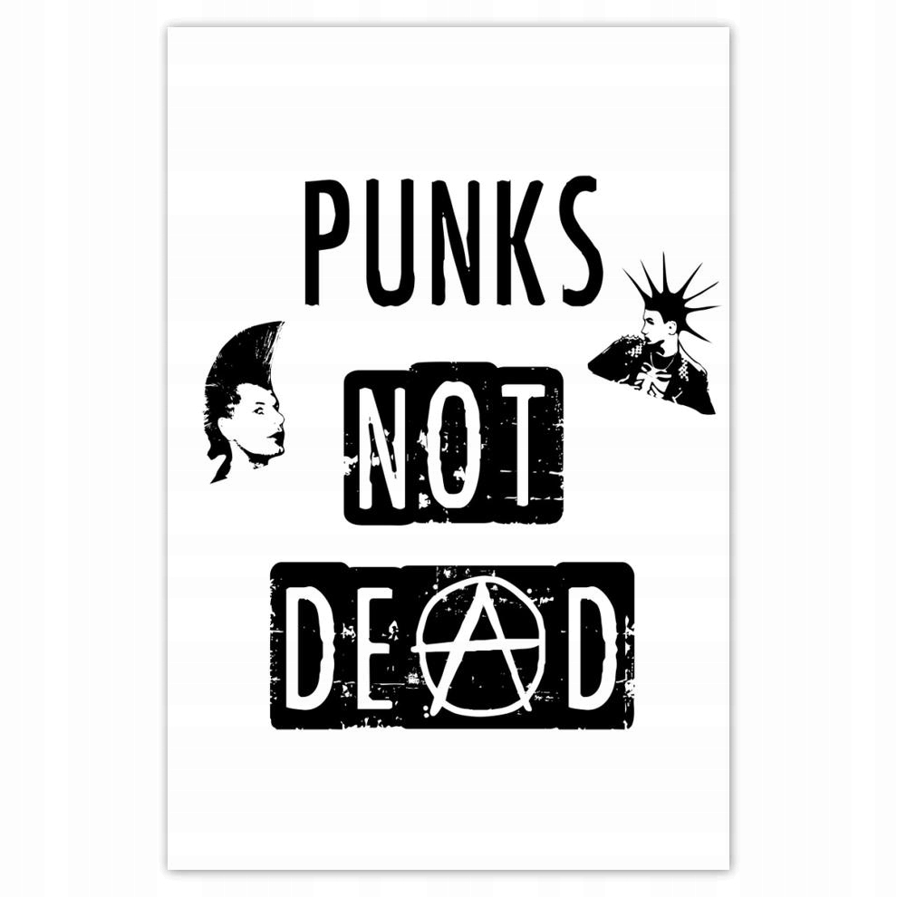 

Plakat 62x93 Punks not dead