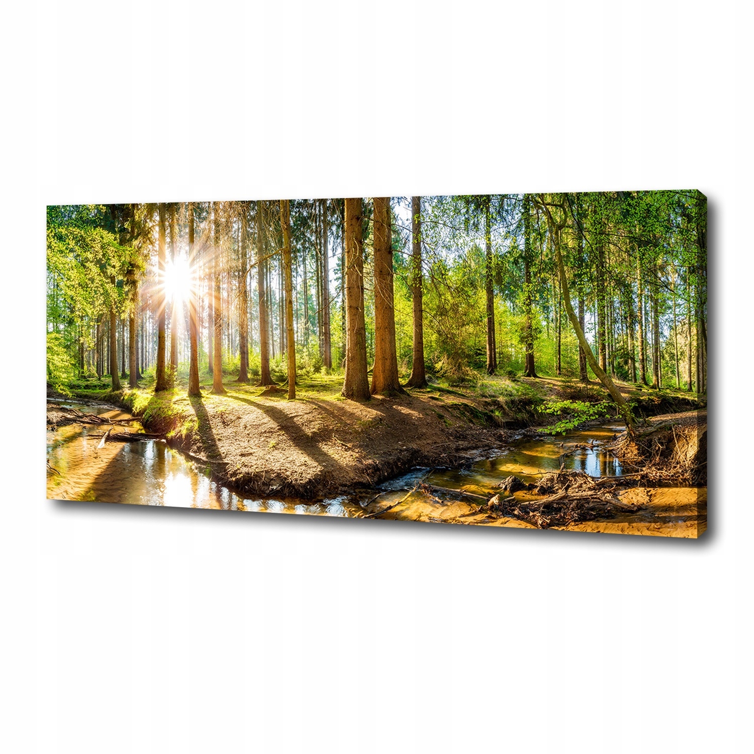 

Foto obraz duży na płótnie Panorama las 125x50 cm