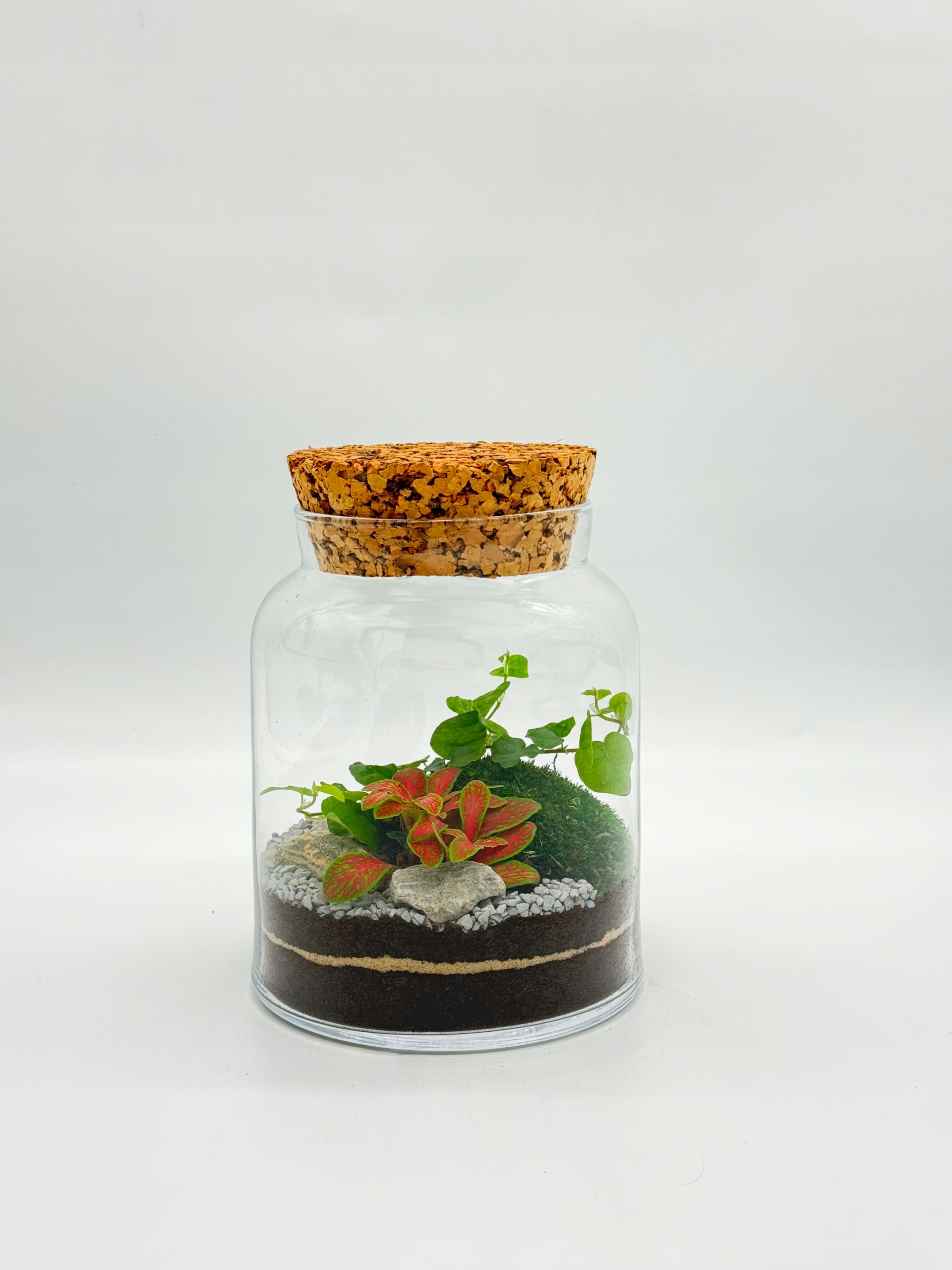 Les ve skle 18 cm – hotová kompozice Břečťan, fytonie, mech