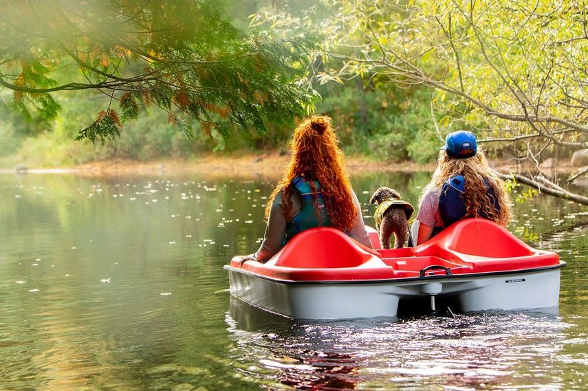 ЛЕГКИЙ СИЛЬНЫЙ СЕМЕЙНЫЙ ВЕЛОСИПЕД PEDA BIKE MONACO PELICAN Марка Pelican