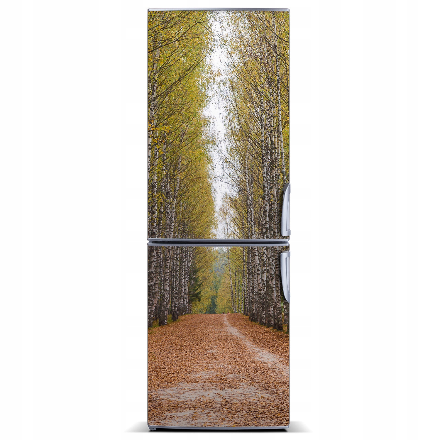 

Magnes na lodówkę magnetyczna Las brzozowy 60x180