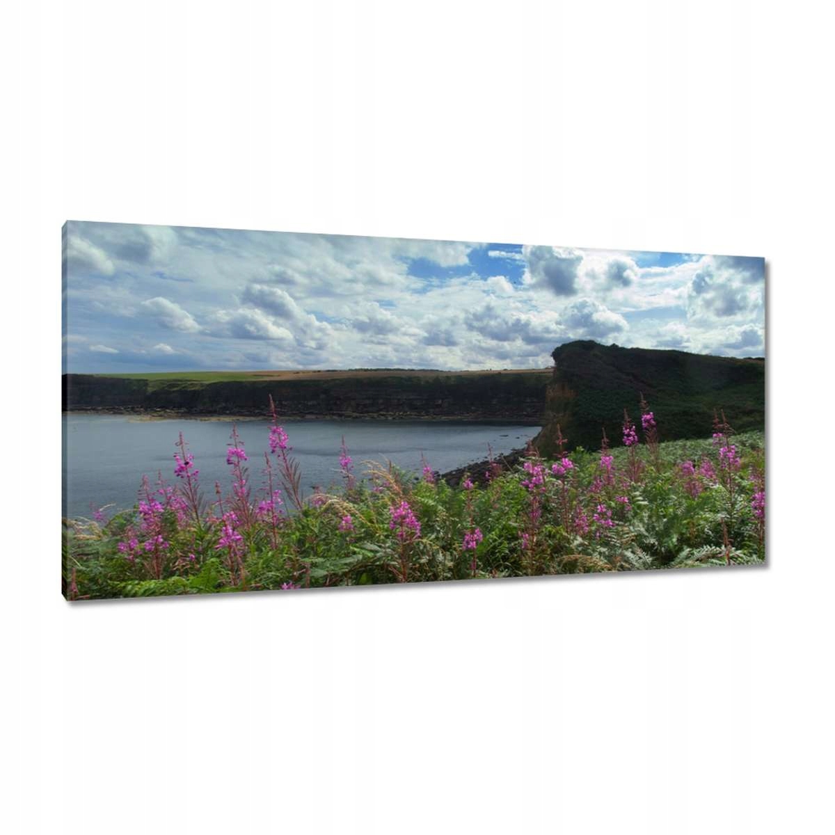 Obrazy 115x55 Fialové květy