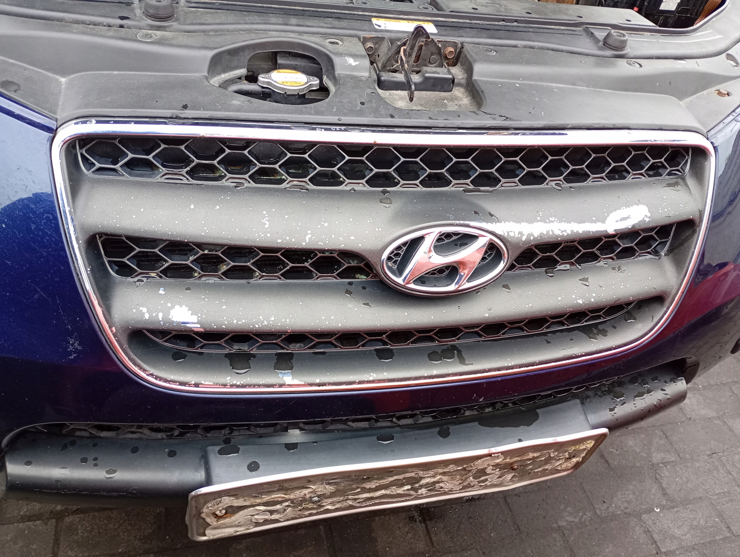 Hyundai Santa Fe 2 II 06-12 grill grille radiator