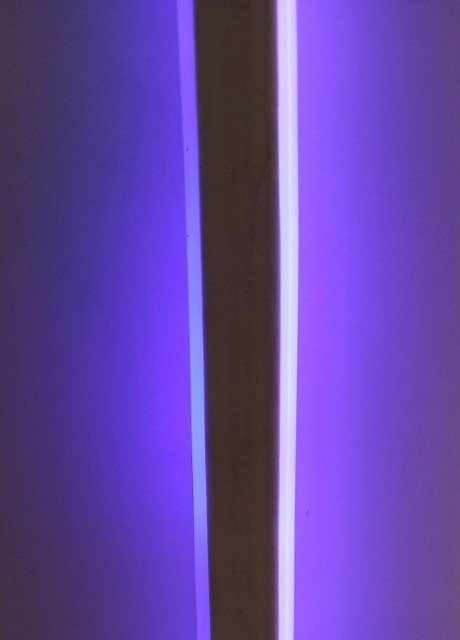 Wąż żelowy Neon LED 2 strony Purple 1mb 7W 230V Marka area-led