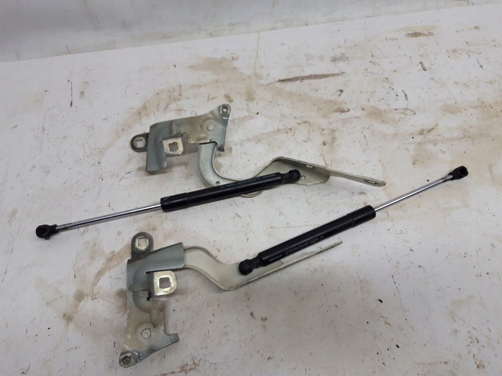 RENAULT CAPTUR І ПЕТЛІ КАПОТА R + L