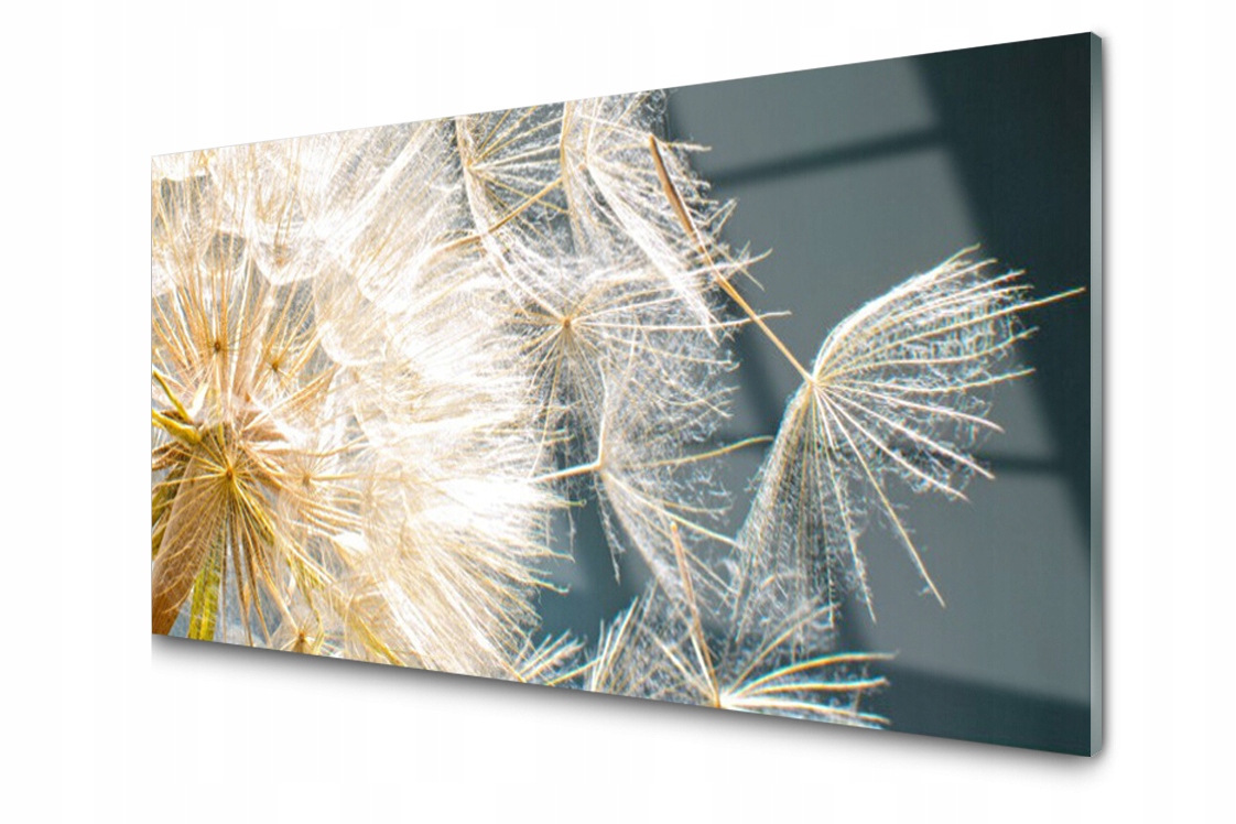 

Panel szklany Płytka Mniszek Roślina 140x70