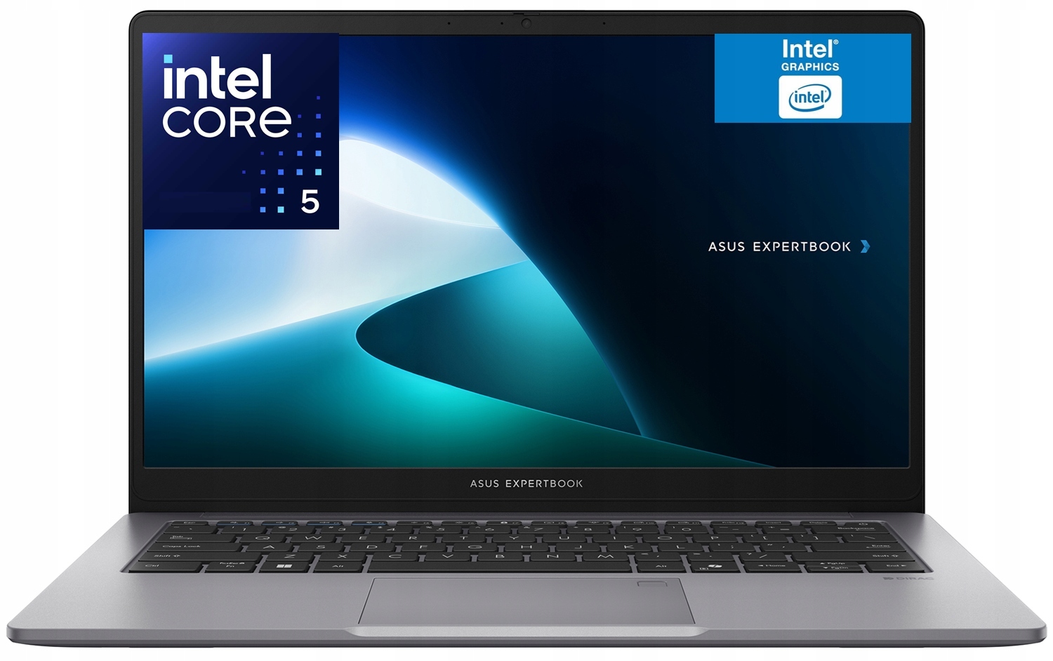 Laptop Asus ExpertBook P1 14" Fhd Core 5 210H 8GB SSD1024GB W11Pro