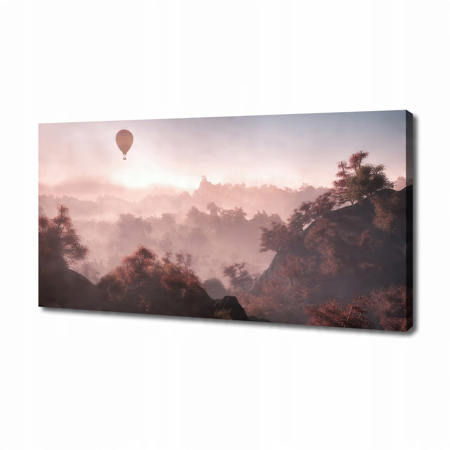 

Foto obraz na płótnie Balon nad lasem 140x70 cm
