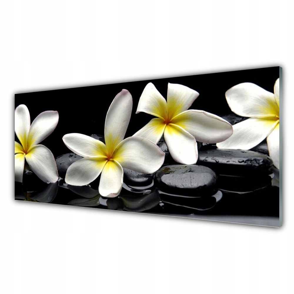 

Fotoobraz z nadrukiem 125x50 Piękny Kwiat Plumeria