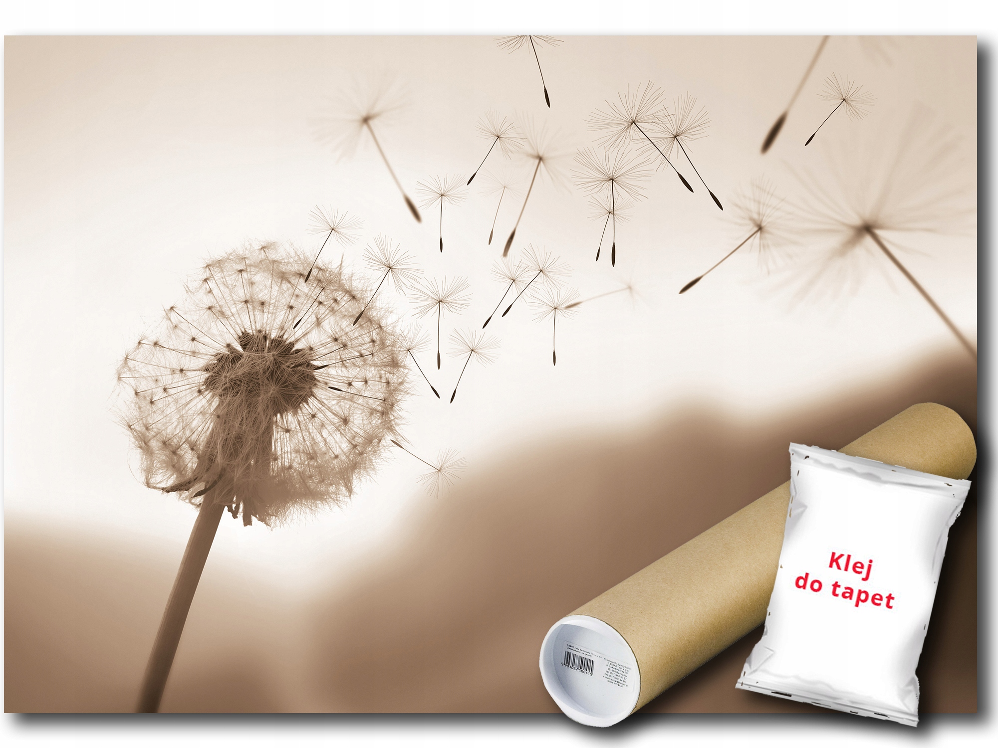 Fototapeta Vliesová Pampeliška Vítr 208x146