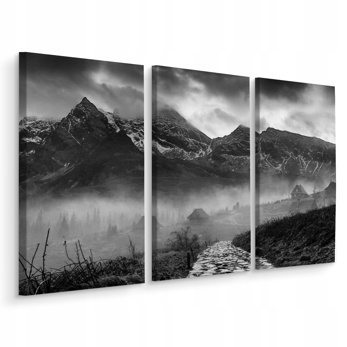 

Obraz Tryptyk Czarno-biały Górski Widok 3D 120x80