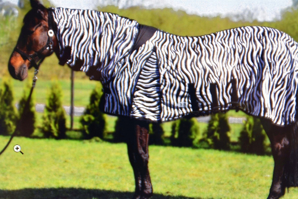 DERKA SIATKOWA Z KAPTUREM PRZECIW OWADOM 115cm Kod producenta 9842170