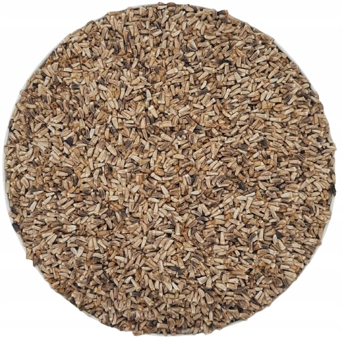 Levně Endywia Semínka Na Klíčky 500 g