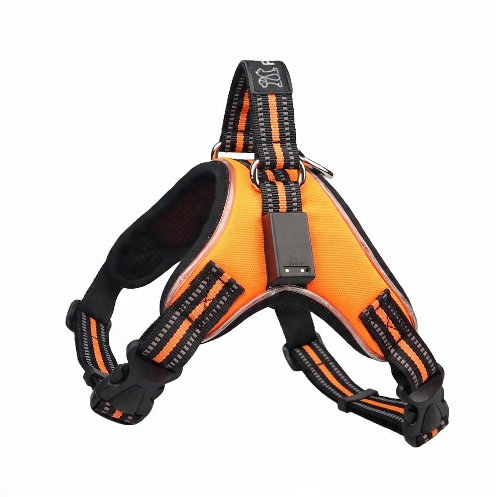 

Szelki dla psa Led Petlove pojedyncze S orange