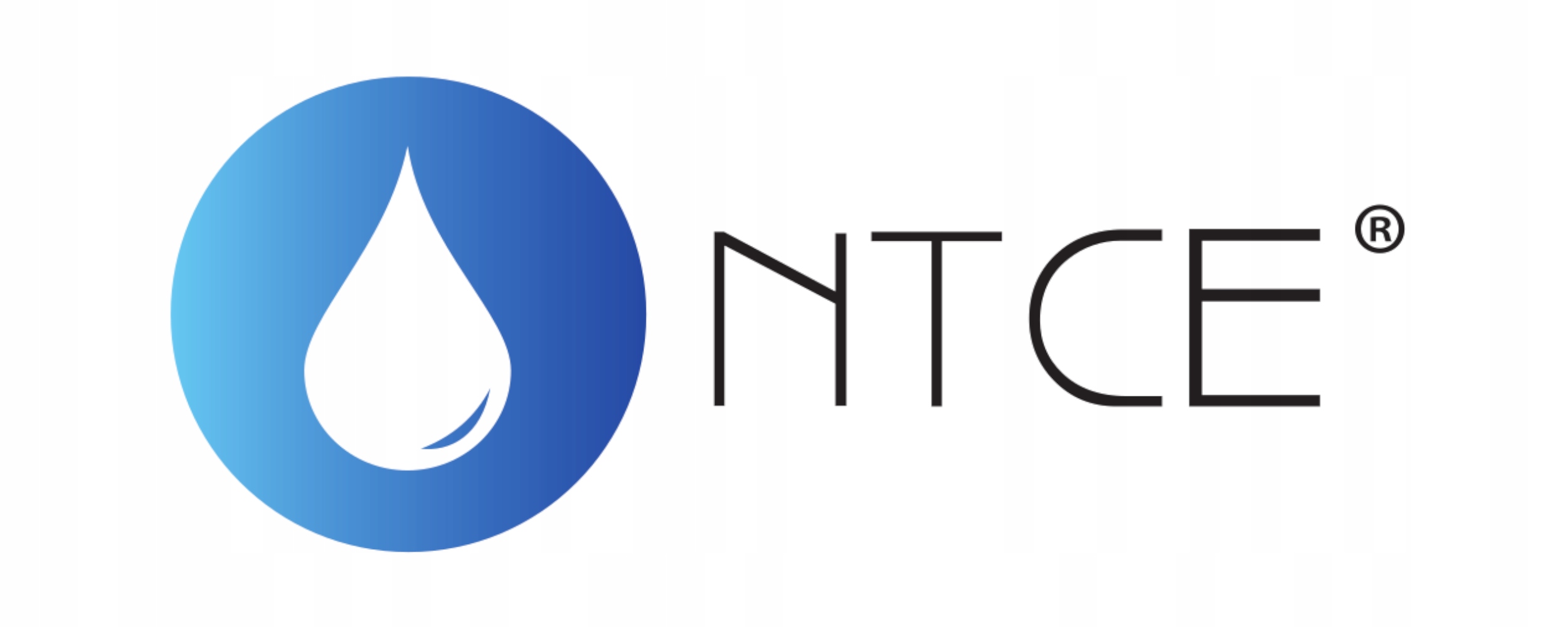 Pływak dozownik do basenu bojka z termometrem na tabletki 20g chlor Rodzaj inny